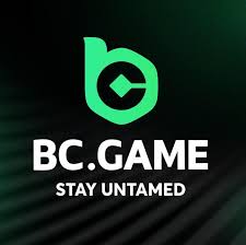 Step-by-Step Guide on How to Download the BC App