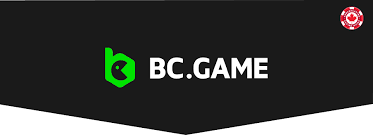 Experience the Thrill of Gaming with BC.Game USA App
