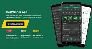 Comprehensive Review of the BetWinner Gambling Platform