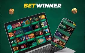Exploring the BetWinner Platform A Comprehensive Guide 1972063003