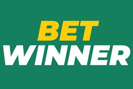 Explore BetWinner Casino & Sportsbook Your Ultimate Betting Destination