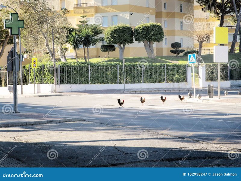 Chicken road - Descubre el Emocionante Juego de Azar de la Carretera de Pollo en España