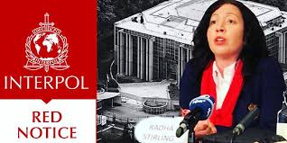 Understanding the Role of Interpol Lawyers in International Law 1341544254