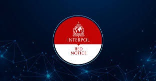 Understanding the Role of Interpol Lawyers in International Law 1341544254
