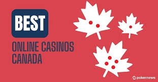 Discover the Best Live Online Casino Experiences